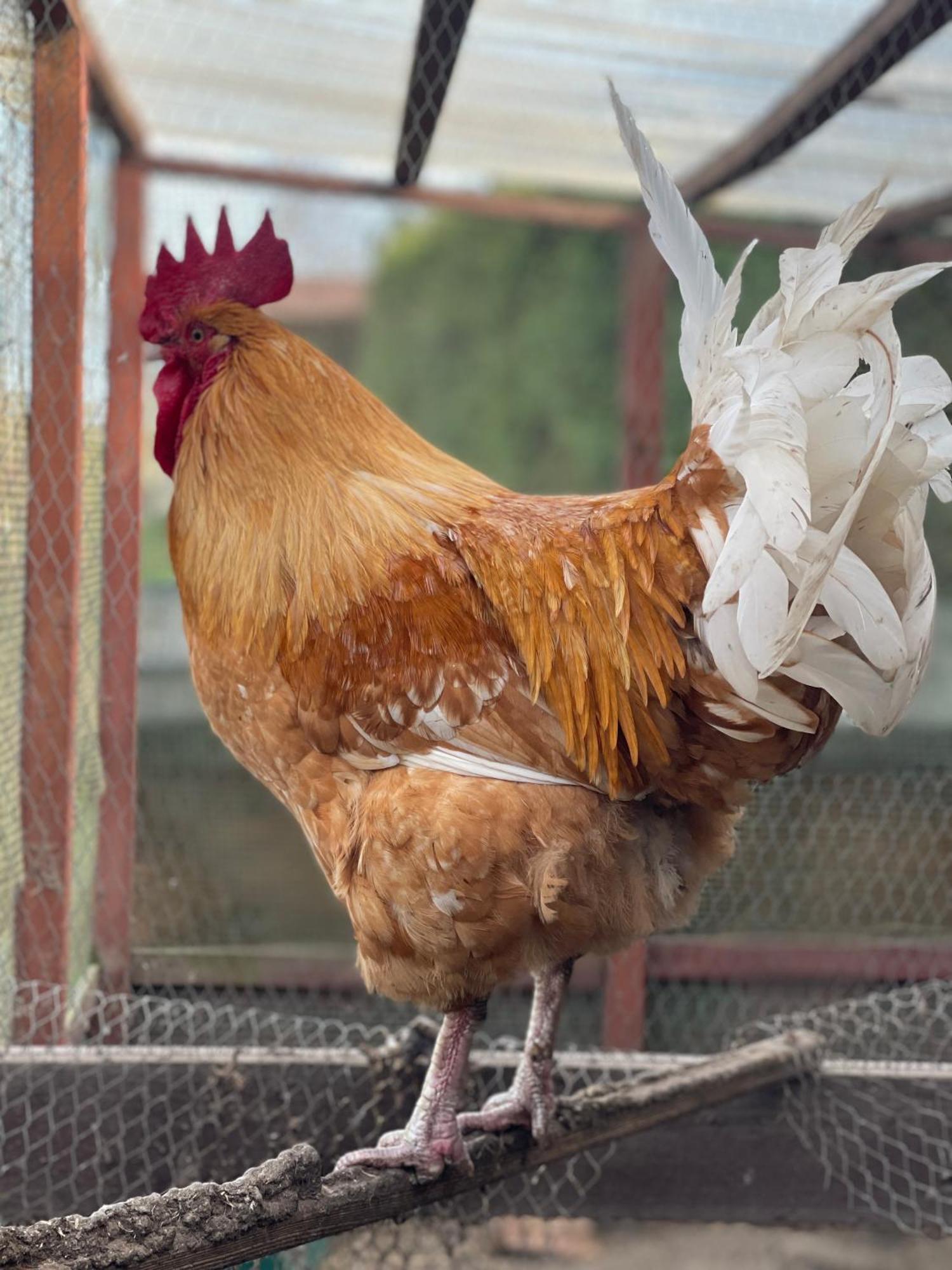 Biala  Agro Na Wapniarniヴィラ エクステリア 写真