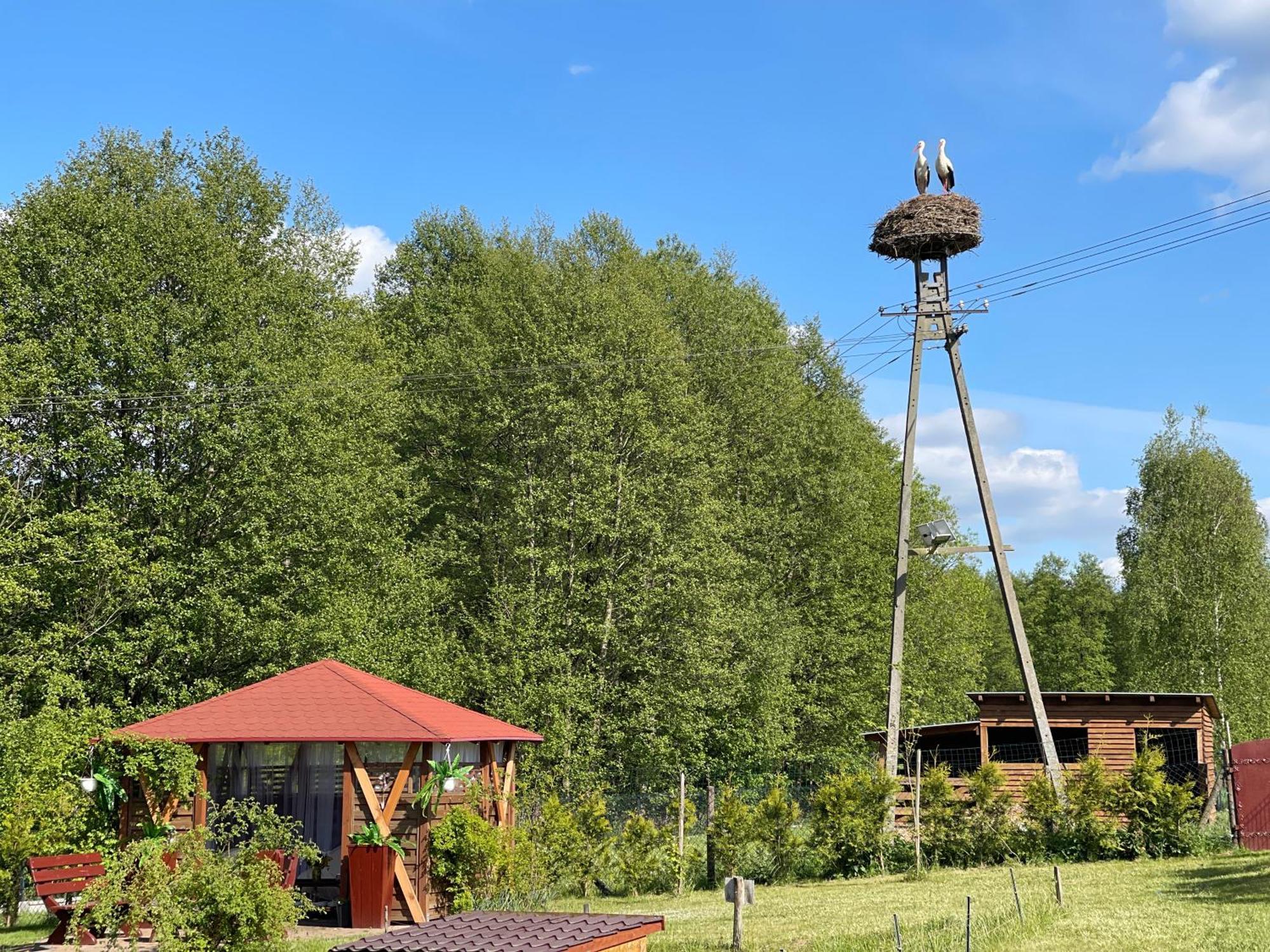 Biala  Agro Na Wapniarniヴィラ エクステリア 写真